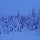 so sieht es im finnische Lappland im Januar aus