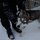 wir verabschieden uns nochmals von einigen der Huskys in ihren Gehegen