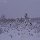 so sieht es im finnische Lappland im Januar aus