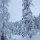 zauberhafte Winterlandschaft