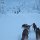 Hundeschlitten-Fahrt durchs finnische Lappland