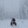 unsere letzte Husky-Tour geht weiter