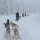 mit den Hundeschlitten durchs neblige Lappland