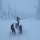 mit den Hundeschlitten durchs neblige Lappland