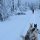 unterwegs im tief verschneiten finnisch Lappland