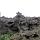 im Lavafeld Dimmuborgir