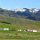 Landwirtschafts-Hof und Schneeberge