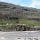 Flusslandschaft