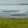 Fischzucht im Berufjördur-Fjord
