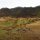 Landschaft im Nordosten