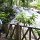 Dunn's River Falls