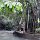 das Wasser fliesst auch mal ruhig bei den Dunn's River Falls