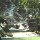Dunn's River Falls