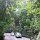 die gewundene Strasse im Fern Gully