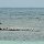 bei Rose Hall im Meer
