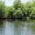Black River
