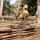 Plattform vor dem 'Bayon-Tempel'