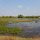 die Landschaft hier ist feuchter als bei Siem Reap