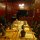im Terrassen-Restaurant