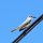 Fliegenfänger-Vogel