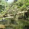 Humboldt-Nationalpark <br />Wanderung durch die Parklandschaft