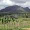 Maria la Gorda bis Vinales <br />Landschaft zwischen La Fé und Pinar del Rio