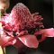 Soroa <br />Ingwer-Blüten im 'Orquideario'