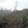 staubige Landschaft am Strassenrand