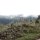 Nebel-Landschaft