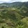 die Reisterrassen von Banaue