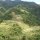 die Reisterrassen von Banaue