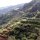 die Reisterrassen von Banaue