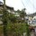 in Banaue