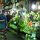 im Markt von Baguio