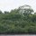 Mangroven-Ufer an Chole-Island