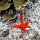 roter Seestern