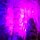 in der 'St.Michaels'-Cave
