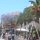 in der Main-Street