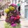 auf dem Nachhause-Weg: Blumenschmuck auf der 'Alameda Principal'