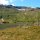 am Bergsee