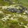 Felsen mit hellem Moos bewachsen