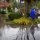 man versucht eine Abwasser-Pumpe in Betrieb zu nehmen