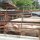 2 grosse Schweine bereit zum Abtransport
