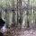 Mangroven-Sumpf hinter den Beungalows