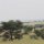 Serengeti-Landschaft