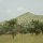 Serengeti-Landschaft