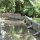 am Teich der Lodge