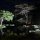 bei Nacht in unserer Lodge