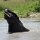 Elefanten beim Spielen im Wasser