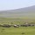Massai-Dorf
